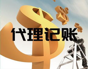 臨沂會(huì)計(jì)代理記賬公司 一站式專業(yè)服務(wù)助力企業(yè)高效發(fā)展
